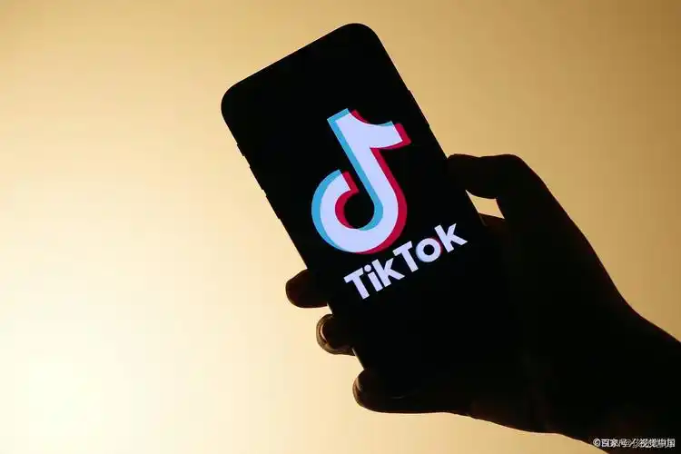 Tiktok 海外 美国直播，全套流程 技术加盟。
